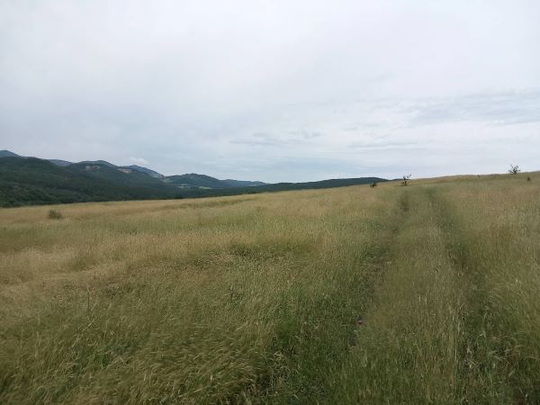 Foto 2 von 3 — Земеделска земя