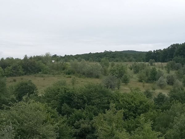 Foto 2 von 3 — Земеделска земя