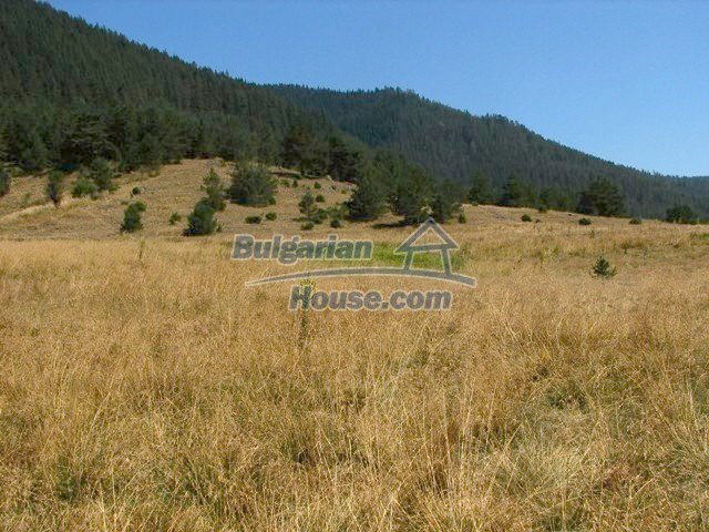 Foto 2 von 10 — Huge land plot with mountain view, Smolyan Region