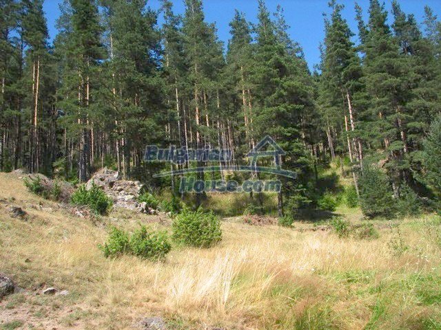 Foto 3 von 10 — Huge land plot with mountain view, Smolyan Region