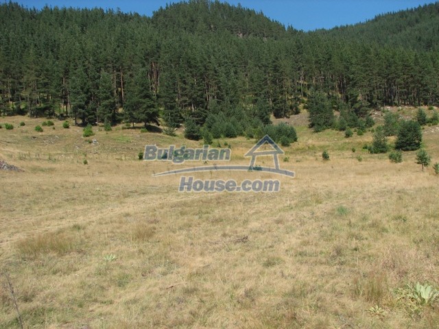 Foto 9 von 10 — Huge land plot with mountain view, Smolyan Region