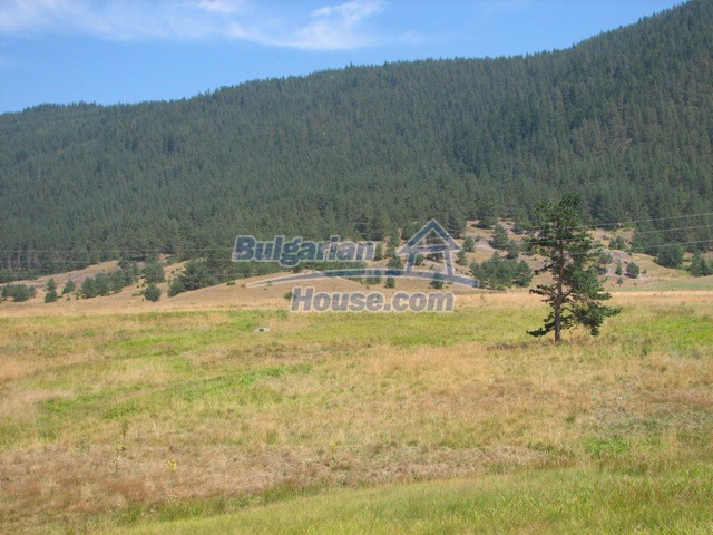Foto 7 von 10 — Huge land plot with mountain view, Smolyan Region