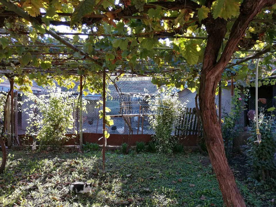 Foto 9 von 12 — Rural property for sale near Dobrich good investment