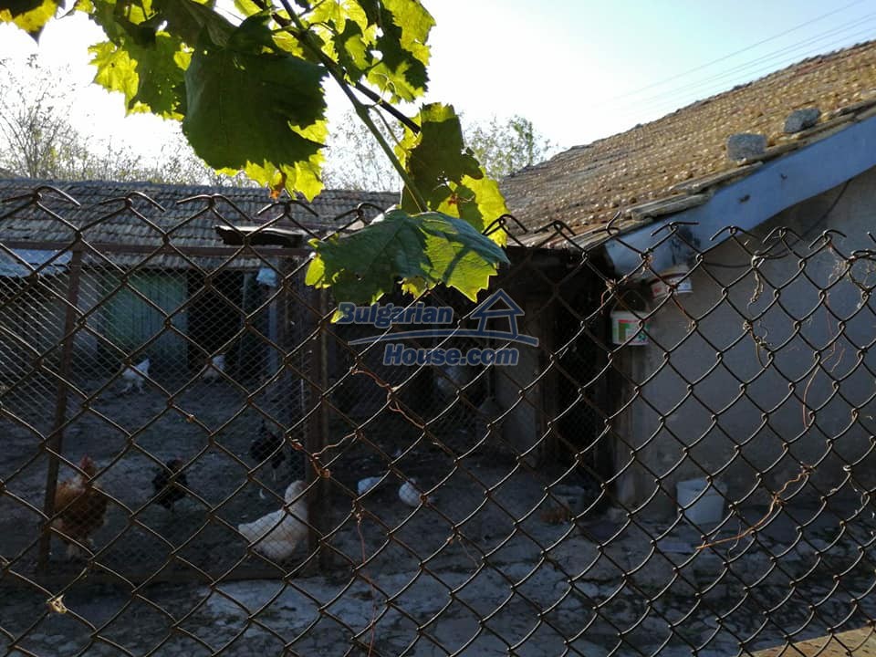 Foto 11 von 12 — Rural property for sale near Dobrich good investment