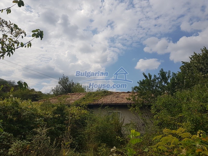 Foto 5 von 12 — Bulgarian property a house, a garage, garden 6000sq.m near lake