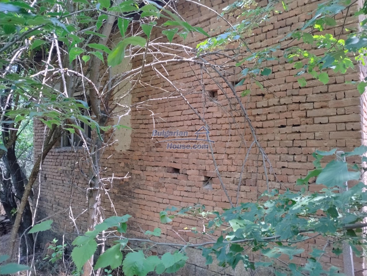 Foto 10 von 12 — VERY CHEAP Rural Bulgarian house big yard near DANUBE river