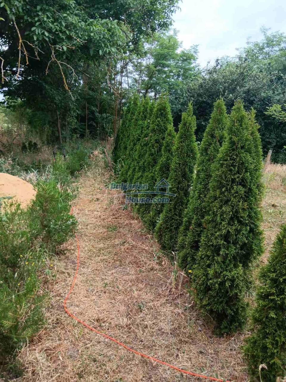 Foto 5 von 12 — Charming Countryside Property near General Toshevo