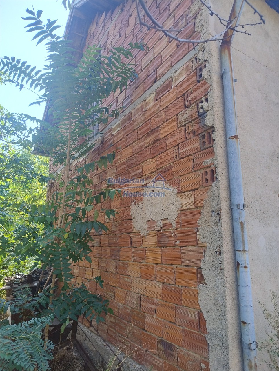 Foto 6 von 12 — Cheap Bulgarian property 5 km away from DANUBE river