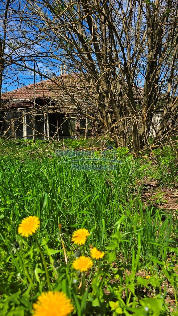 Foto 4 von 12 — Danube Serenity Bulgarian Estate 5 bedrooms 2400sq.m garden