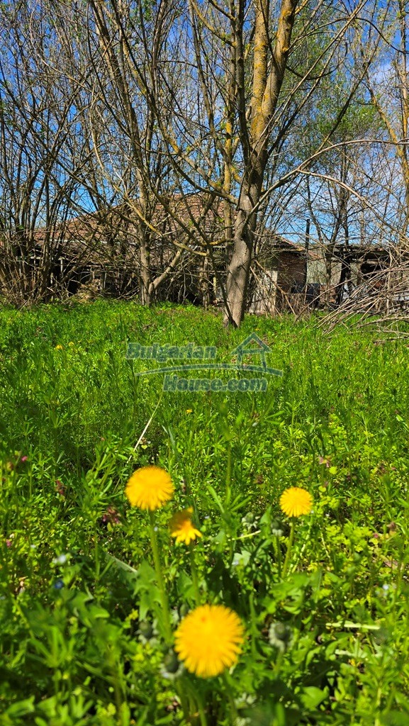 Foto 5 von 12 — Danube Serenity Bulgarian Estate 5 bedrooms 2400sq.m garden