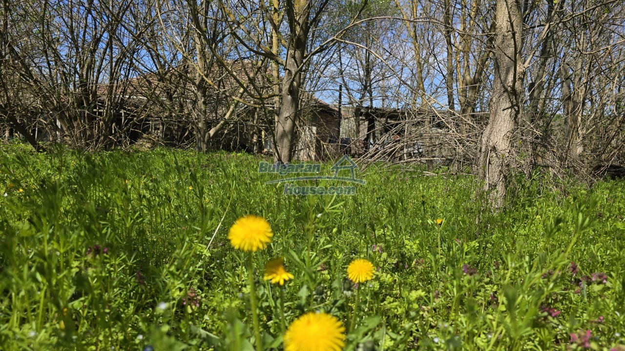 Foto 2 von 12 — Danube Serenity Bulgarian Estate 5 bedrooms 2400sq.m garden