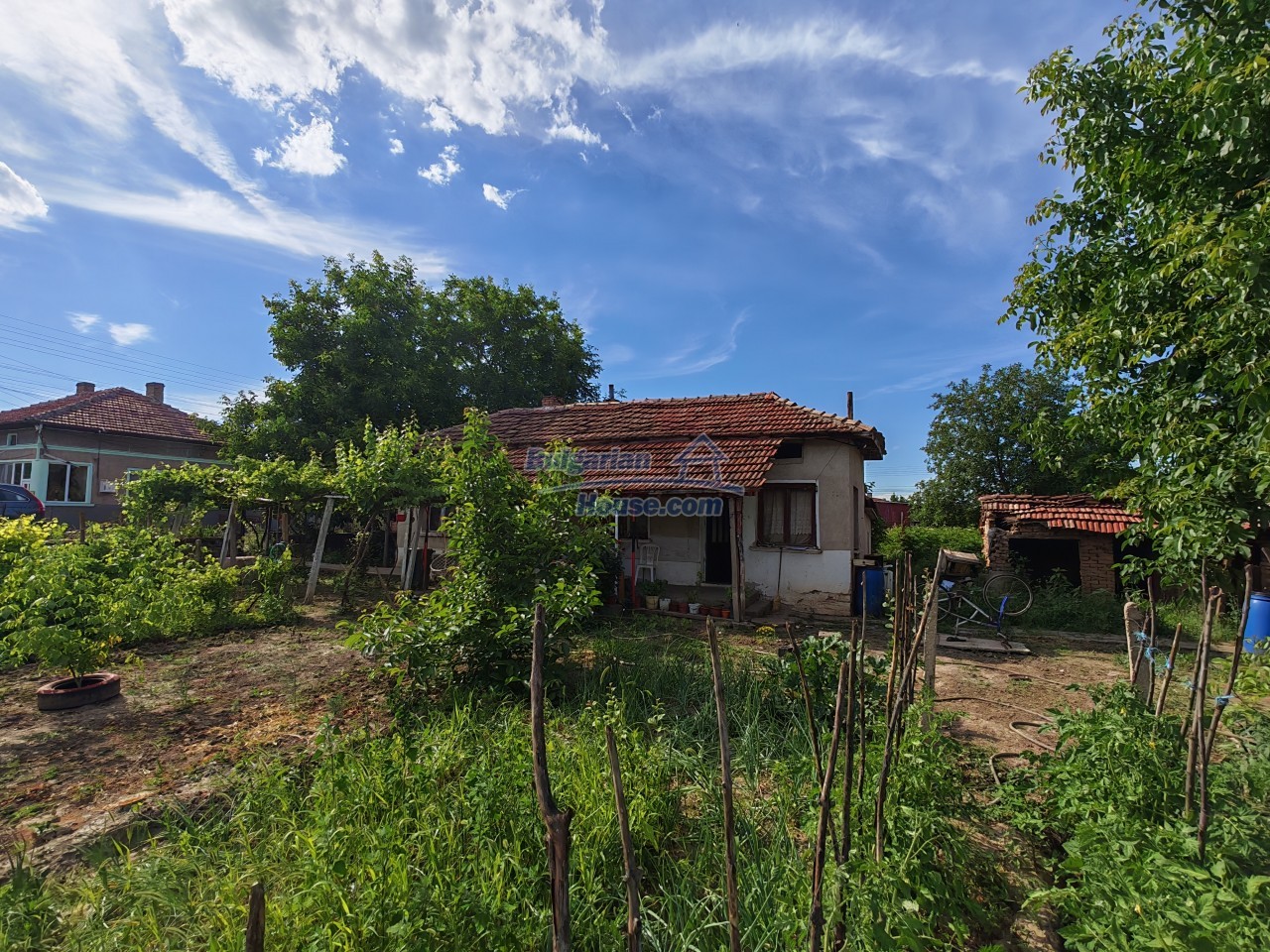 Foto 12 von 12 — Cheap Bulgarian house for sale 5km from Danube river