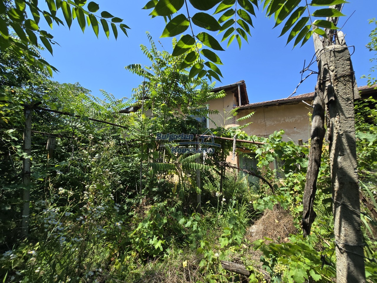 Foto 6 von 12 — House for renovation - big garden and nice views Danube plane