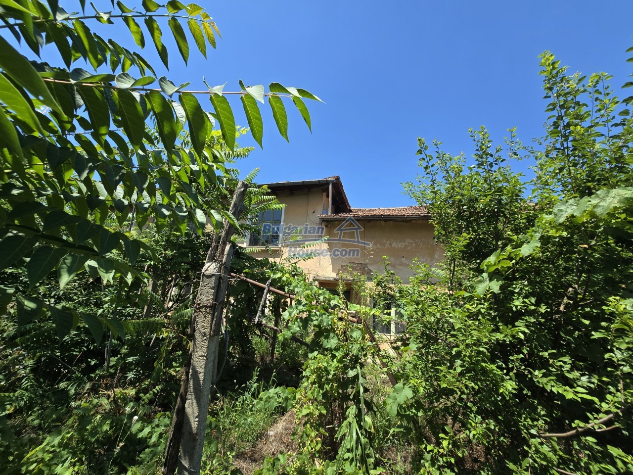 Foto 7 von 12 — House for renovation - big garden and nice views Danube plane