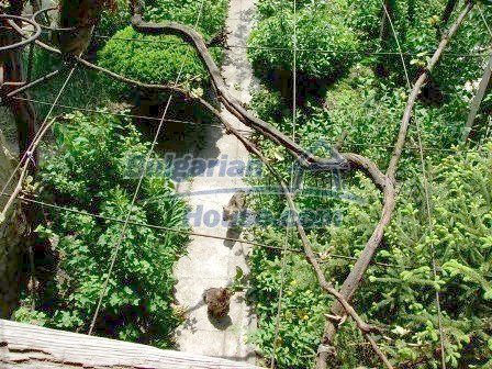 Foto 4 von 6 — Attractive property for sale in Bulgarian, near Bansko