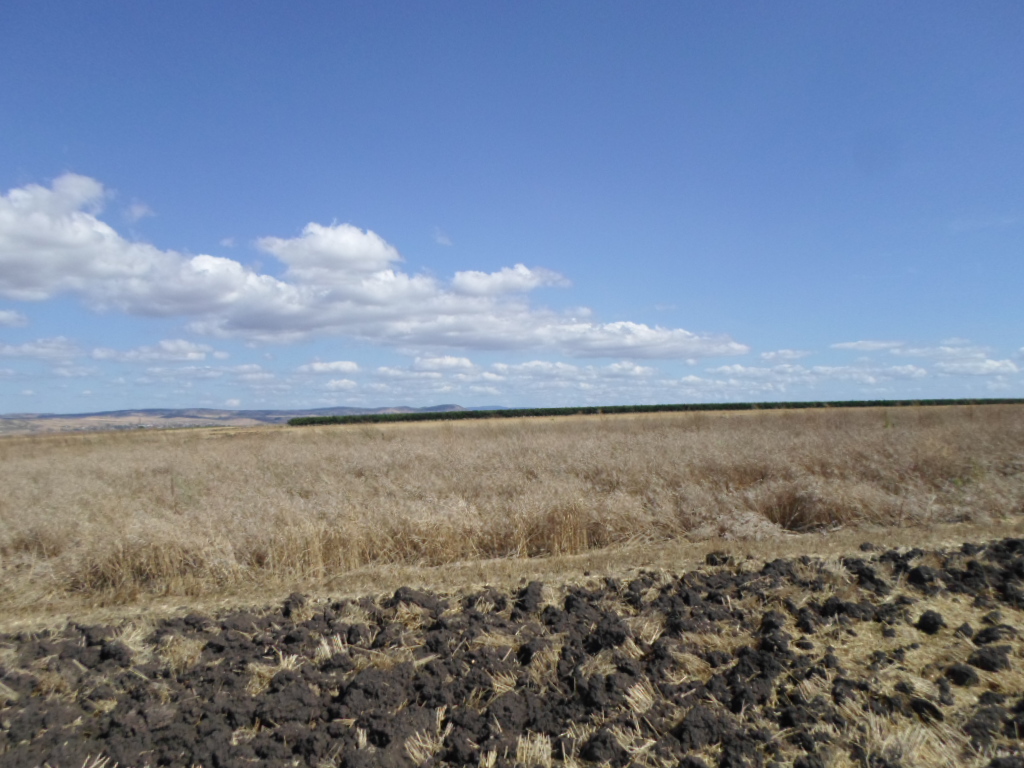 Foto 1 von 9 — ПОЗЕМЛЕН ИМОТ В гр. ПОМОРИЕ, местност "БОЖУРИТЕ", площ от 5361 кв.м.