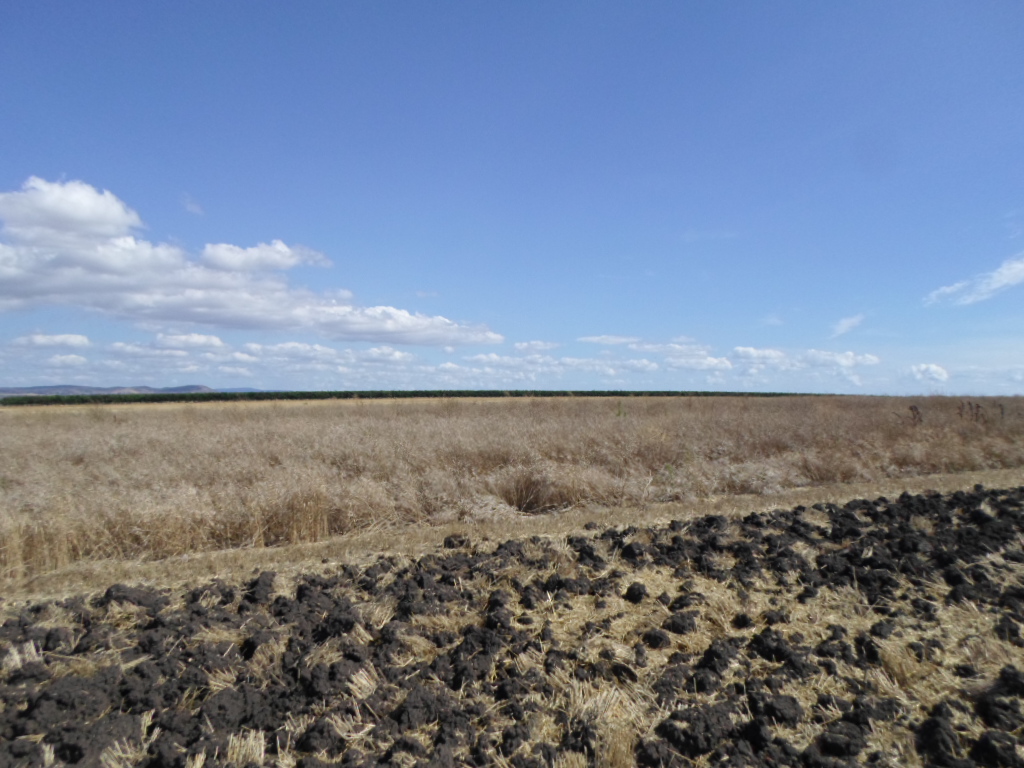 Foto 2 von 9 — ПОЗЕМЛЕН ИМОТ В гр. ПОМОРИЕ, местност "БОЖУРИТЕ", площ от 5361 кв.м.
