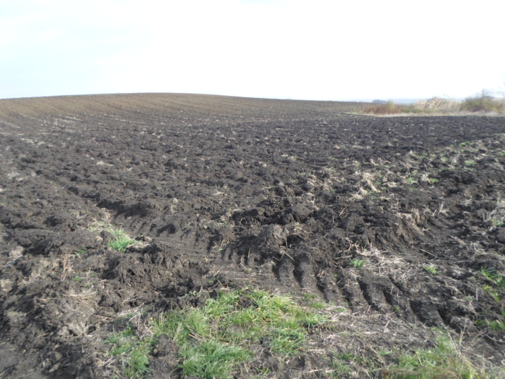Foto 2 von 14 — ПОЗЕМЛЕН ИМОТ гр. Каблешково, общ. Поморие, обл. Бургас, местност „Пъдарска могила”