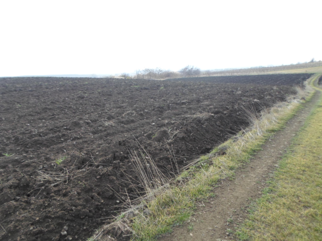 Foto 5 von 14 — ПОЗЕМЛЕН ИМОТ гр. Каблешково, общ. Поморие, обл. Бургас, местност „Пъдарска могила”