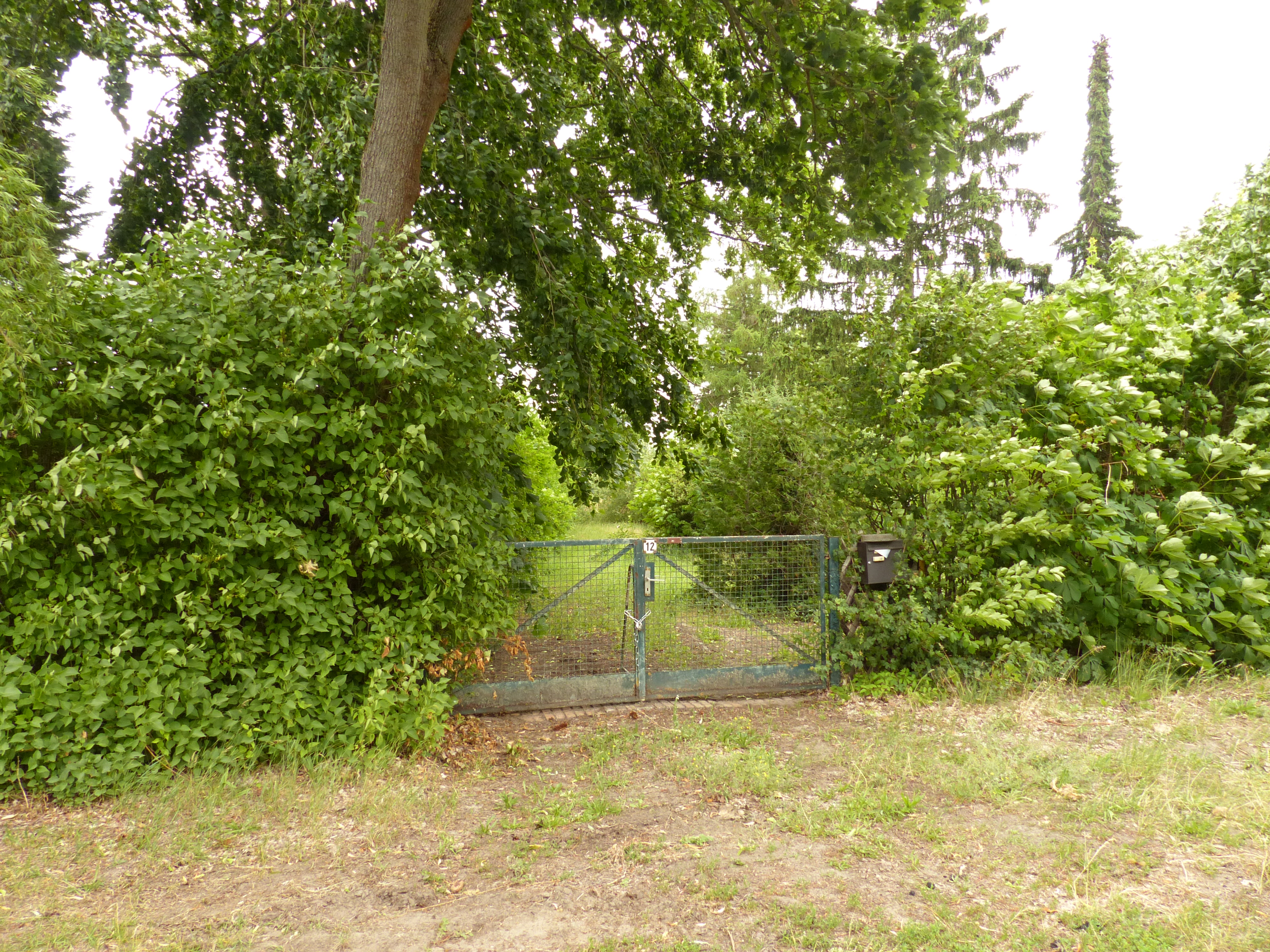 Foto 5 von 13 — Wohnbaugrundstück in der Nähe des Wolziger Sees 