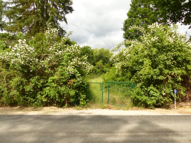 Foto 5 von 13 — Wohnbaugrundstück in der Nähe des Wolziger Sees 