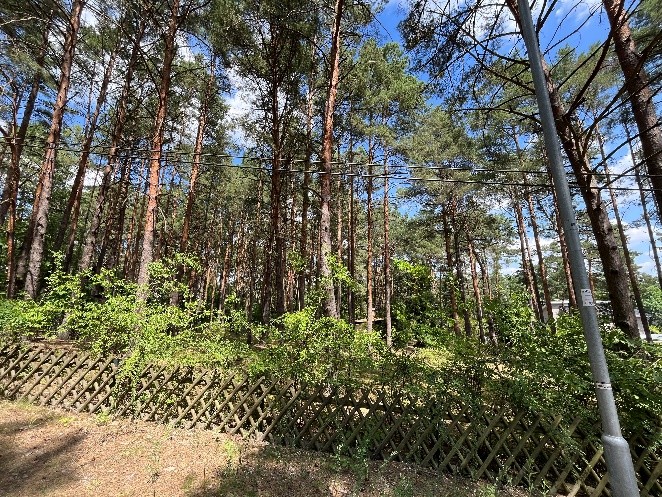 Foto 13 von 25 — Großes Wohnbaugrundstück in ruhiger Lage