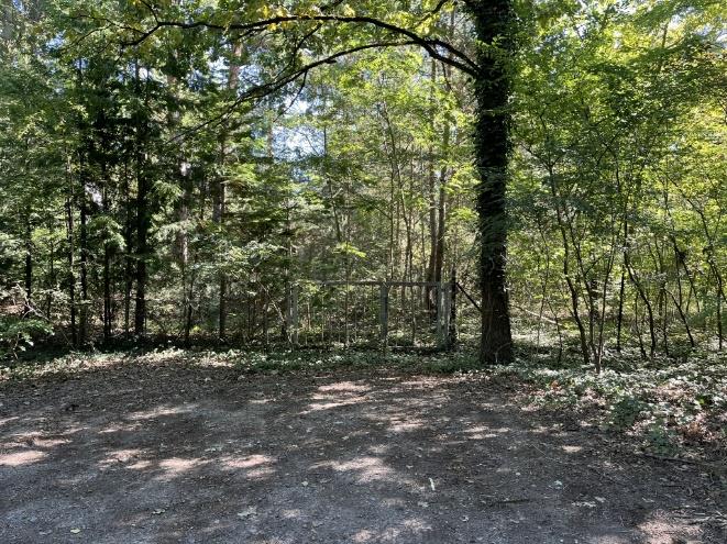Foto 10 von 30 — Attraktives Baugrundstück mit Waldsiedlungscharakter im Ortsteil Güterfelde