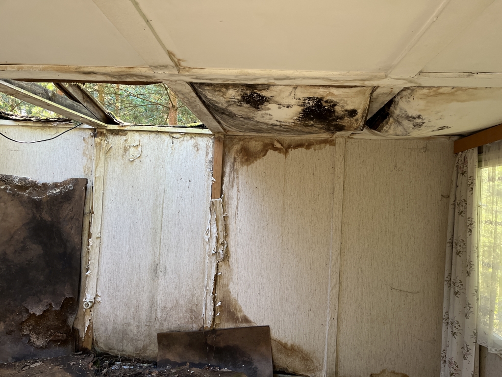 Foto 30 von 30 — Attraktives Baugrundstück mit Waldsiedlungscharakter im Ortsteil Güterfelde