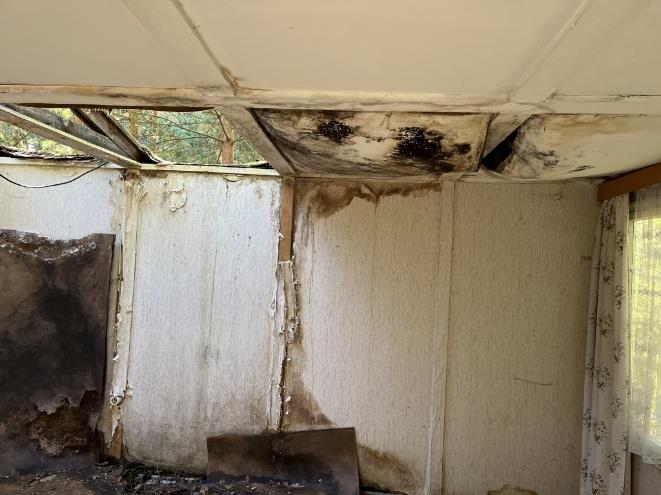 Foto 14 von 30 — Attraktives Baugrundstück mit Waldsiedlungscharakter im Ortsteil Güterfelde