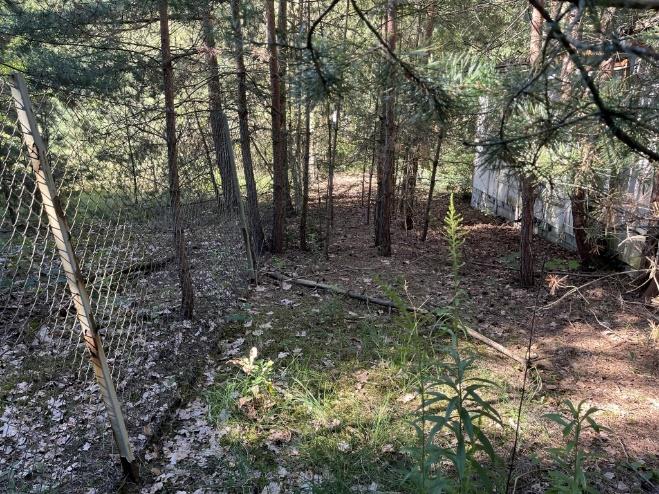 Foto 19 von 30 — Attraktives Baugrundstück mit Waldsiedlungscharakter im Ortsteil Güterfelde