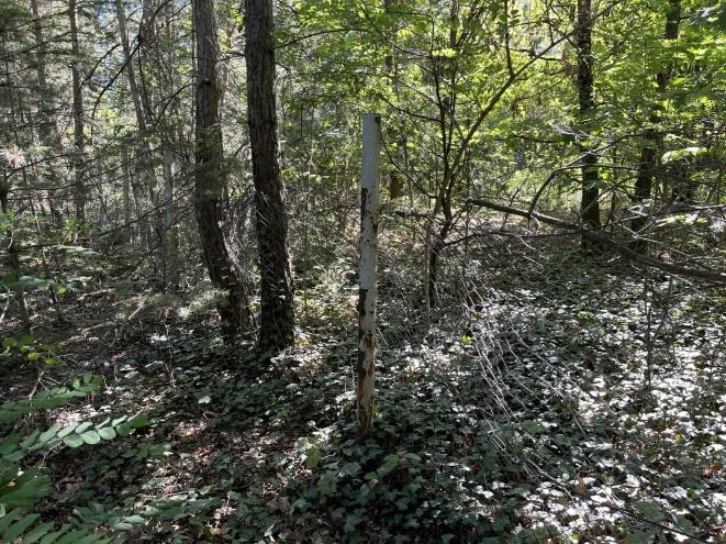 Foto 18 von 30 — Attraktives Baugrundstück mit Waldsiedlungscharakter im Ortsteil Güterfelde