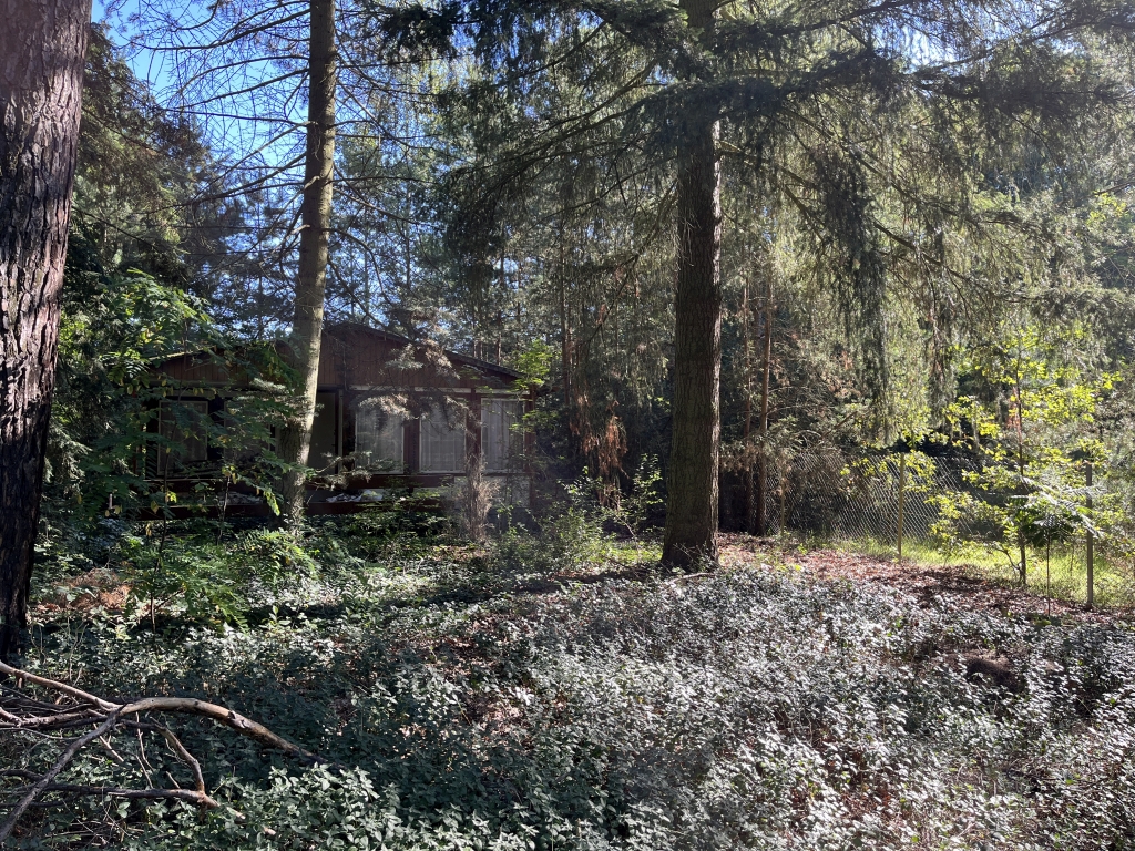 Foto 1 von 30 — Attraktives Baugrundstück mit Waldsiedlungscharakter im Ortsteil Güterfelde
