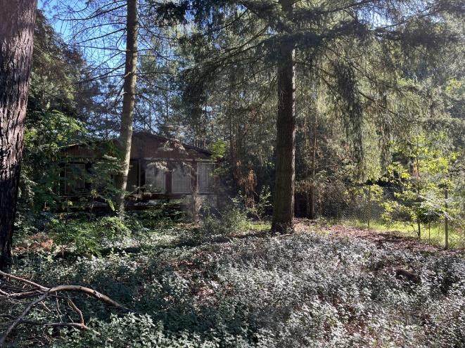 Foto 11 von 30 — Attraktives Baugrundstück mit Waldsiedlungscharakter im Ortsteil Güterfelde