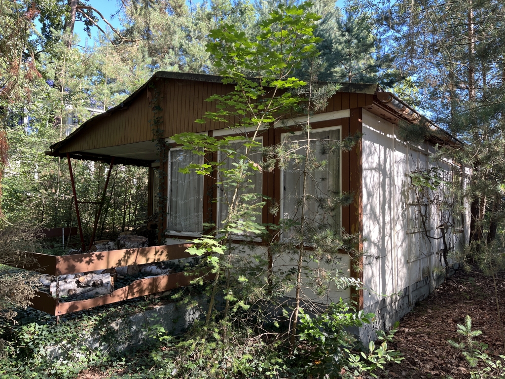 Foto 2 von 30 — Attraktives Baugrundstück mit Waldsiedlungscharakter im Ortsteil Güterfelde