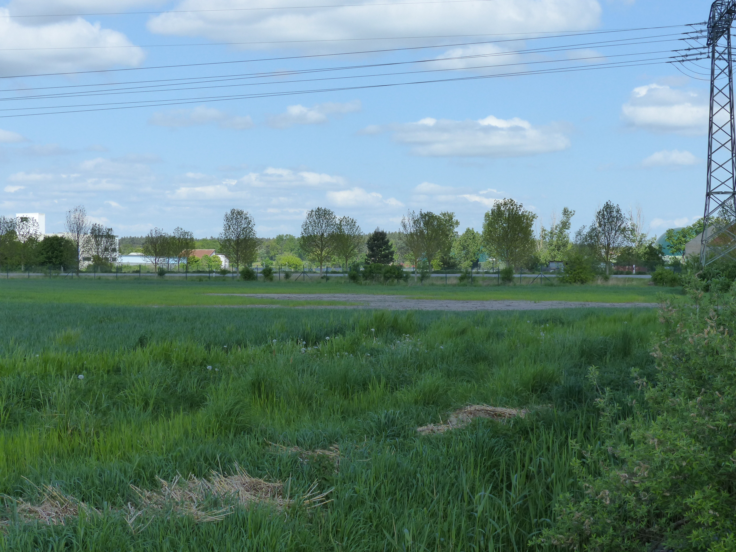 Foto 1 von 3 — Auktion - Kleines, vertraglos genutztes Grundstück in Klein Schulzendorf