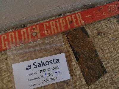 Foto 77 von 198 — Denkmalgeschützte Einfamilienhäuser in unmittelbarer Nähe zum Stadtpark von Gütersloh