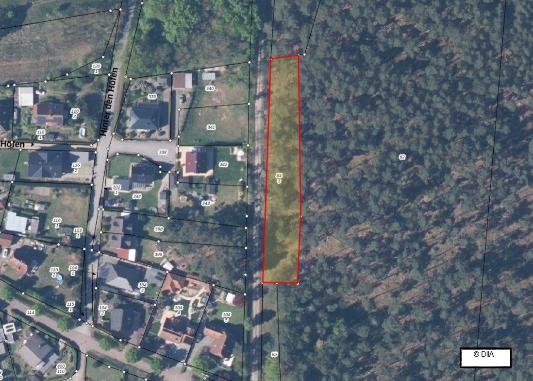 Foto 2 von 6 — AUKTION - Wald an einer ehem. Bahnstrecke am östlichen Ortsrand in 39539 Nitzow