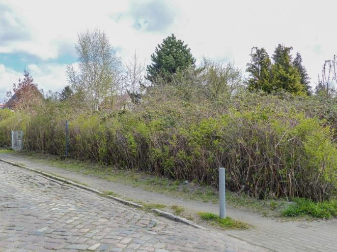 Foto 14 von 25 — Ruhiges Baugrundstück für EFH
