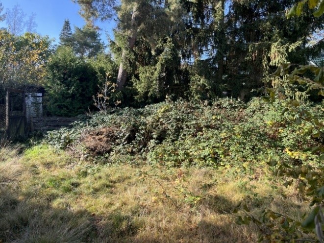 Foto 23 von 32 — Großes Wohnbaugrundstück in gewachsener Wohnlage im Berliner Umland