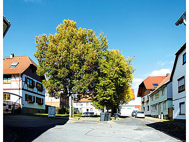 Foto 2 von 2 — Vermietetes Einfamilienhaus mit Nebengelass in Geratal