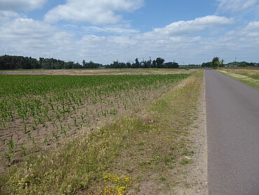Foto 4 von 4 — Kleine, verpachtete Landwirtschaftsfläche im sog. Speckgürtel der Landeshauptstadt Magdeburg