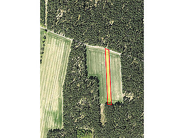 Foto 3 von 3 — 2 verpachtete Landwirtschaftsflächen (Acker) im Landkreis Börde