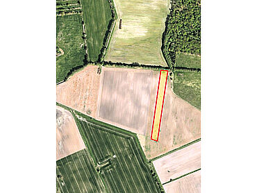 Foto 2 von 3 — 2 verpachtete Landwirtschaftsflächen (Acker) im Landkreis Börde