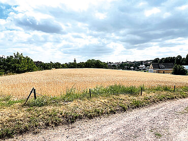 Foto 2 von 2 — Verpachtete Ackerfläche nördlich der Händelstradt Halle (Saale)
