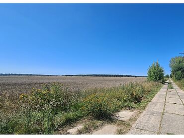 Foto 4 von 4 — Verpachtete Ackerfläche nahe einer neu zu errichtenden Windparkfläche