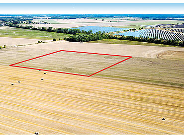Foto 1 von 4 — Verpachtete Ackerfläche nahe einer neu zu errichtenden Windparkfläche