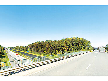 Foto 1 von 4 — Waldfläche