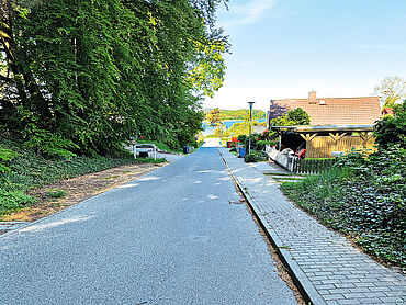 Foto 3 von 4 — Wald