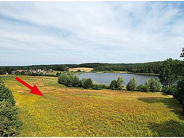 Foto 2 von 2 — Teil des Karpensees und Grünland
