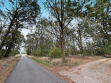 Foto 2 von 2 — Waldgrundstück 1.498 m² Forst BRW 60 Cent